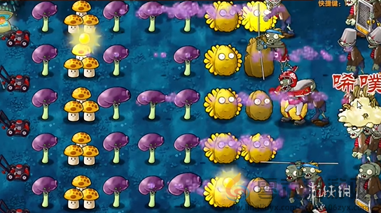 植物大战僵尸融合版冒险模式第十关怎么过(图5) 植物大战僵尸融合版冒险模式第十关怎么过(图5)