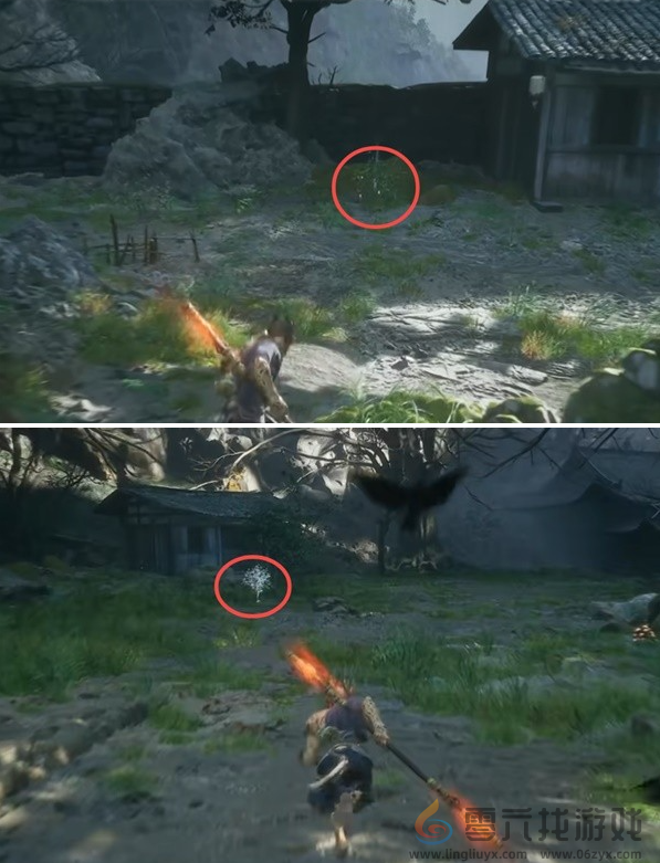 黑神话悟空漱玉花种子获取方法(图4) 黑神话悟空漱玉花种子获取方法(图4)